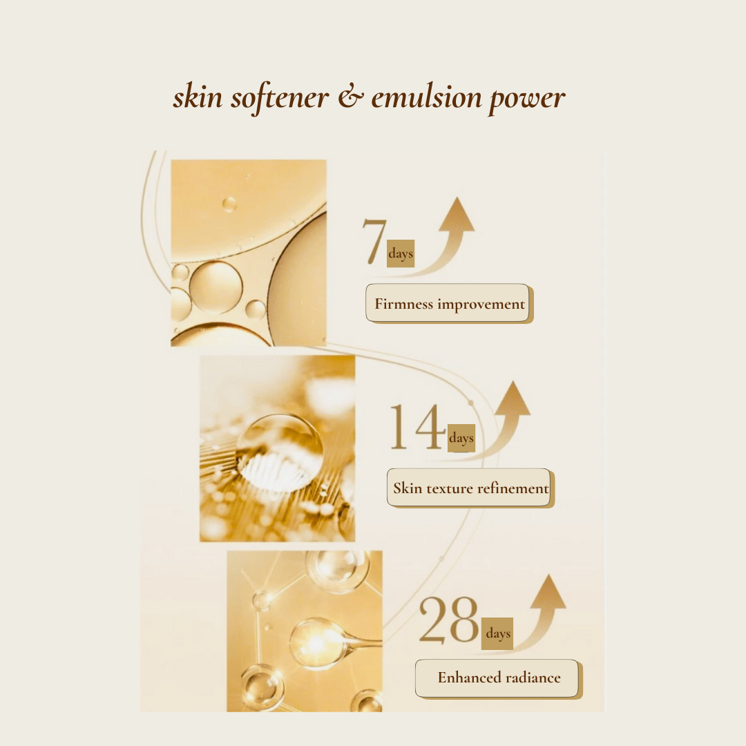 The First Geniture 2-Piece Special Set